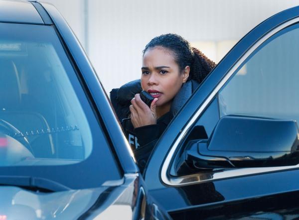 Bild 1 von 8: Special Agent Sheryll Barnes (Roxy Sternberg)
