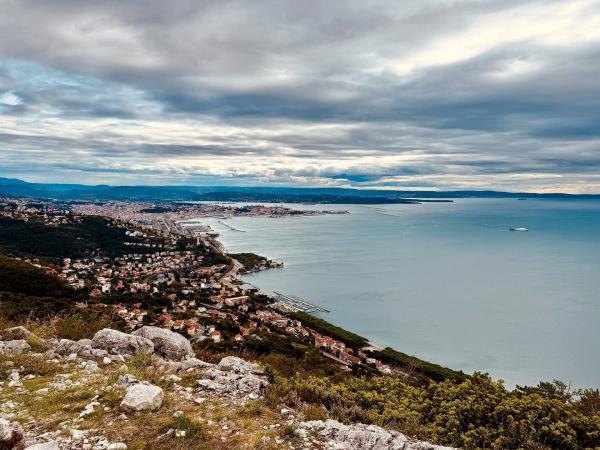 Bild 1 von 6: Im Bild: Der Blick auf Triest aus dem Karst.