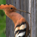 Abenteuer Wildnis