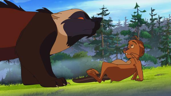 Bild 1 von 4: Der Vielfraß bedroht den Biber Lindenbaum.© WDR/Ellipsanime Productions/Belvision/Les Cartooneurs Associés/2 Minute - Honorarfreie Verwendung gemäß AGB im redaktionellen Zusammenhang mit genannter Sendung bei Nennung \