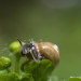 Abenteuer Wildnis