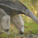 Zoo und so - Tierisch wild!
