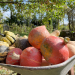 Bambus, Beet & Blaue Banane