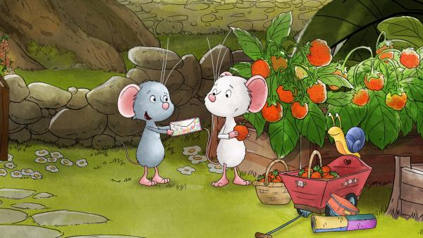 Bild 1 von 2: Molly hat Post von ihrer Brieffreundin bekommen: Sie kommt zu Besuch!