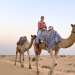 VIP Trip - Prominente auf Reisen 6