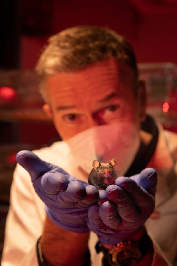 Bild 1 von 6: Helden der Medizingeschichte: Labormäusen verdanken viele Menschen ihr Leben. Ohne sie gäbe es unzählige Medikamente nicht. Tierversuche sind umstritten, doch wo sie heute noch unverzichtbar sind, sollte man es den Nagern so angenehm wie möglich machen. Dirk Steffens besucht eine Forscherin, die sich für das Wohlergehen von Versuchstieren einsetzt.