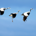 Abenteuer Wildnis