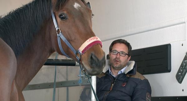 Bild 1 von 1: 