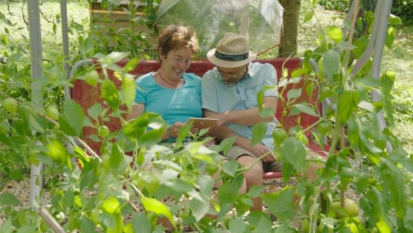 Bild 1 von 4: Renate Hudak und Harald Harazim beim Anschauen alter Fotos.