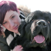 Die geheime Welt der Hunde