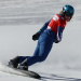 Weltcup in Montafon