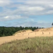 Hamburgs letzte Wanderdüne