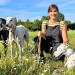 Anna und die Haustiere
