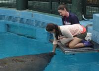 Anna und die wilden Tiere