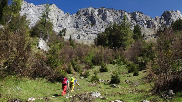 Bild 1 von 2: .