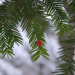 Abenteuer Wildnis