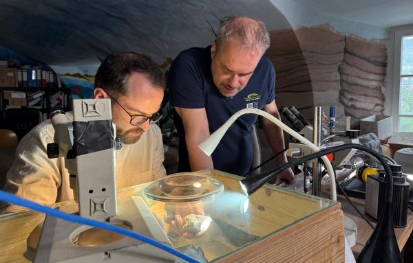 Bild 1 von 8: Wissenschaftsjournalist Niklas Kolorz befreit das Fossil eines Trilobiten aus dem Gestein - eines urzeitlichen Meeresbewohners, der in der Eifel besonders häufig entdeckt wird. Von links: Niklas Kolorz und Museumsleiter Jens Koppka