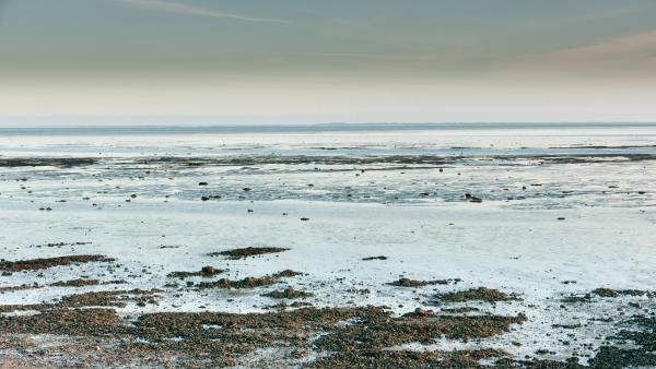 Bild 1 von 6: Ebbe im Wattenmeer bei der Hallig Gröde, Deutschland.