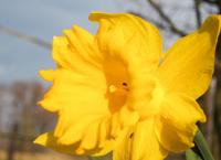 Wunderwelt Garten: Die heimliche Wildnis