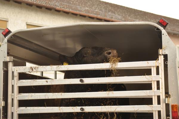 Bild 1 von 10: .