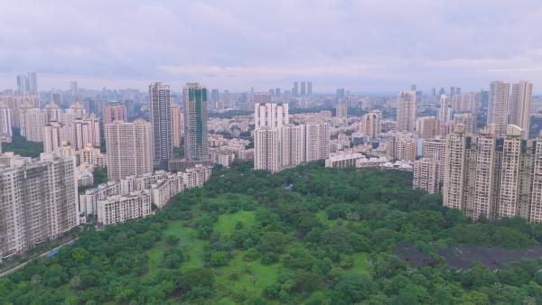 Bild 1 von 5: Wildnis und Großstadt treffen aufeinander an der Grenze des Sanjay Gandhi Nationalparks.