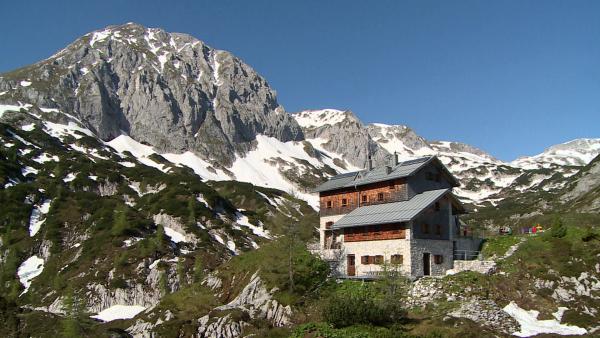 Bild 1 von 1: .