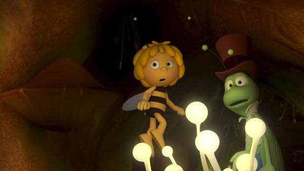 Bild 1 von 1: Hat sich da etwas im Dunkeln bewegt?