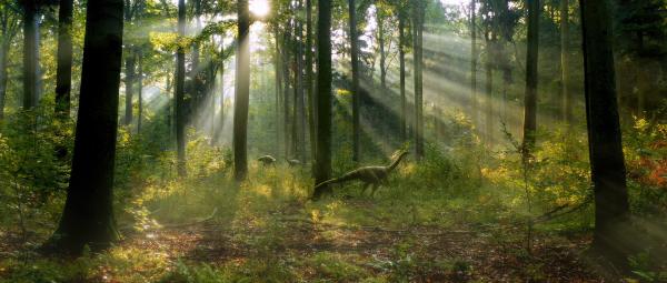 Bild 1 von 8: Viele Millionen Jahre lang beherrschen Dinosaurier die Erde. Heute leben nur noch Nachfahren eines Zweigs dieser Reptiliengruppe.