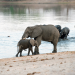 Abenteuer Namibia