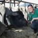 Landwirtschaft in der Schweiz - Welche Formen der Landwirtschaft gibt es?