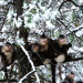 Wild und wunderbar - Chinas unbekannte Natur