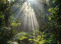 Ein perfekter Planet