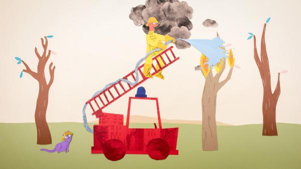 Bild 1 von 12: Mister Paper