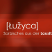 Luzyca
