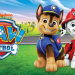 Bild 36