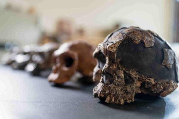 Bild 1 von 5: Wie wurden wir zum modernen Menschen? Offenbar war unsere Evolution weniger geradlinig als gedacht.