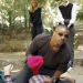 Criminal Minds