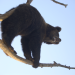 Welt der Tiere