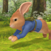 Peter Hase