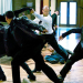 Transporter 3