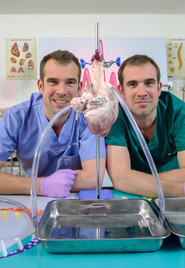 Bild 1 von 10: Im Bild (v.li.): Chris van Tulleken (Dr. Chris), Xand van Tulleken (Dr. Xand).