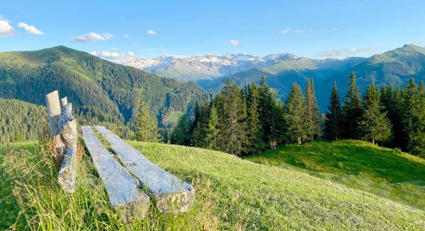 Bild 1 von 17: Almsommer in den Hohen Tauern - jetzt gehen endlich wieder die ganzen Freizeitaktivitäten im Freien los.