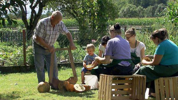 Bild 1 von 6: Im Bild: Für die Kürbisernte helfen bei der Familie Handl alle zusammen.