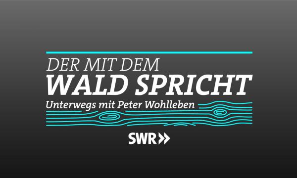 Bild 1 von 1: Logo