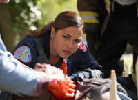 Chicago Fire