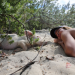 Secret Summer Paradise - Die coolsten Bade-Hotspots