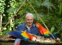 Das Leben in Farbe mit David Attenborough