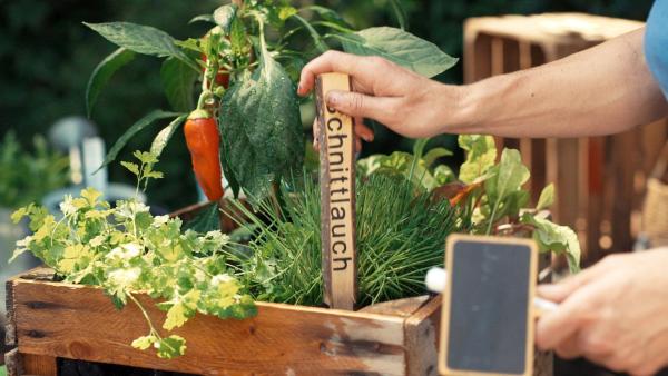 Bild 1 von 9: GartenKULT