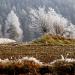 Waldviertel - Vom Zauber des rauen Landes
