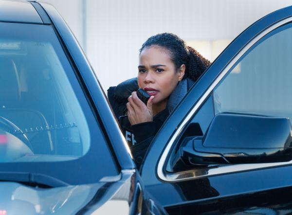 Bild 1 von 8: Special Agent Sheryll Barnes (Roxy Sternberg)
